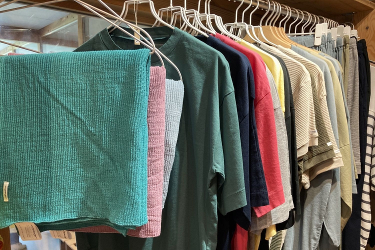 BIWACOTTON入荷のお知らせのイメージ画像